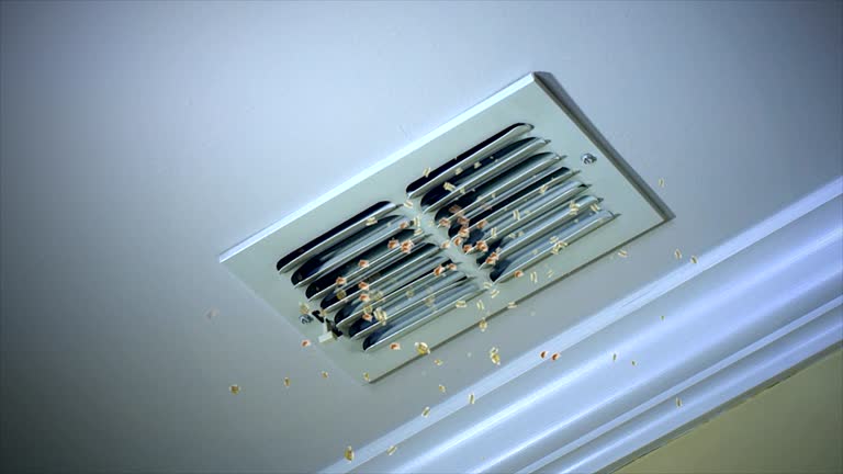 Best Air Duct Cleaning Near Me  in Many, LA