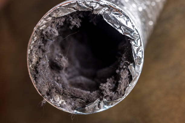 Best Local Air Duct Cleaning Services  in Many, LA