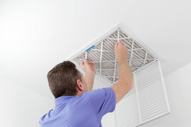 Best Dryer Vent Cleaning Services  in Many, LA
